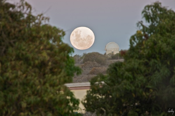 AustraliaPerth 10  103